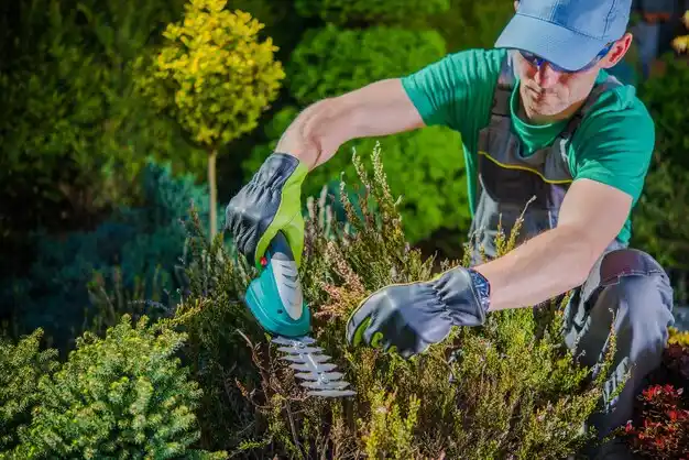 landscaping services South Vienna